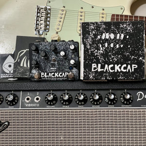 Old Blood Noise Endeavors Blackcap Asynchronous Harmonic Dual Tremolo