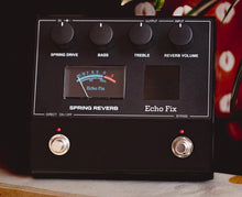 Load image into Gallery viewer, Echo Fix EF-P2 Spring Reverb